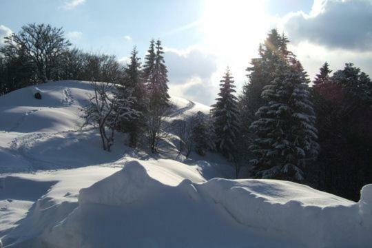 Les Chenes Rouges Apartment Gerardmer Bagian luar foto